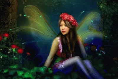 hadas jigsaw puzzle
