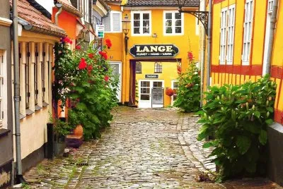 aalborg jigsaw puzzle