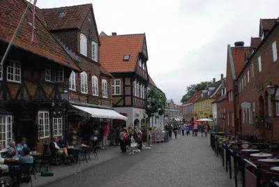 ribe