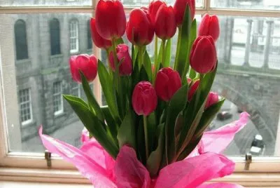 tulipas
