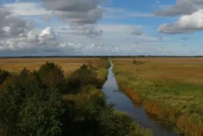 matsalu national park jigsaw puzzle