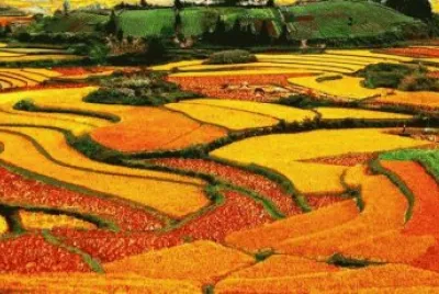 paisagens