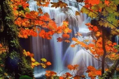 432 jigsaw puzzle