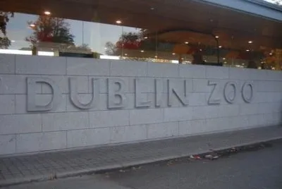 zoo di dublino