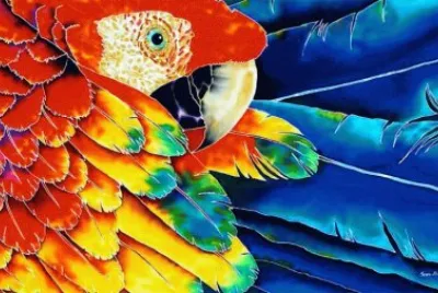 Amazing Parrot