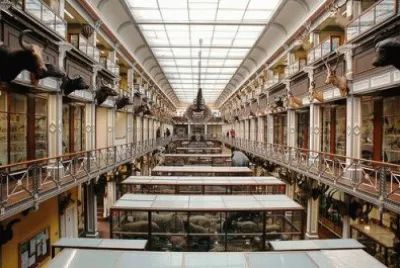 national history museum