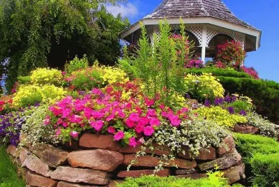 Natureza