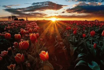Natureza