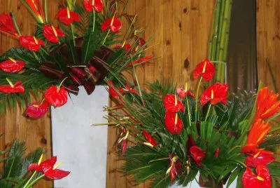 son naturales jigsaw puzzle