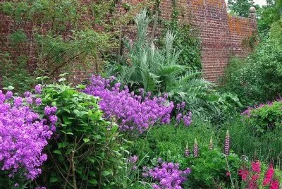 jardÃ­n jigsaw puzzle