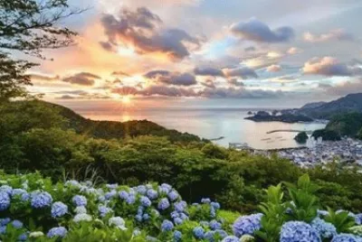 436 jigsaw puzzle