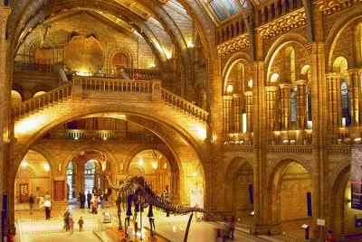 natural history museum