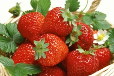 Frutas