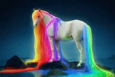 imagens