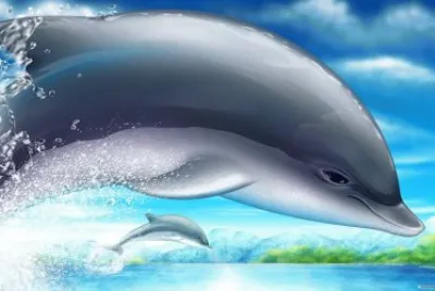 imagens
