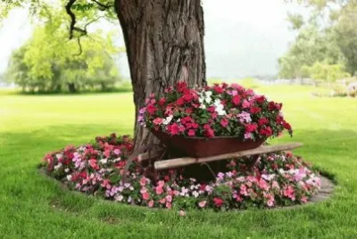 jardin jigsaw puzzle