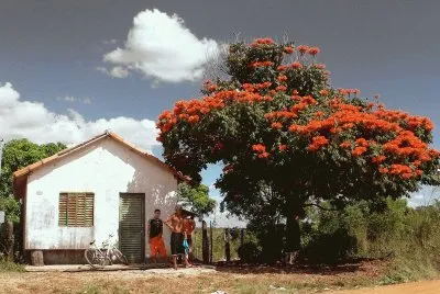 Vida Rural
