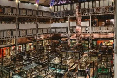 pitt rivers museum