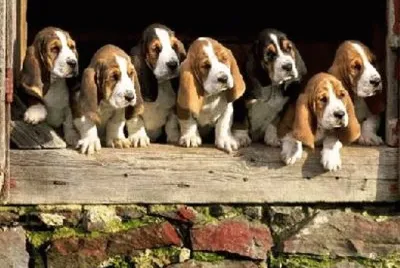 where is mom#196?