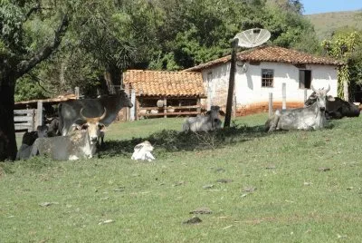 Casa branca