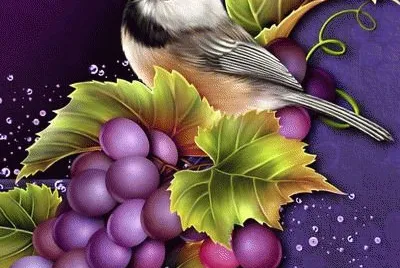 Barnali Art