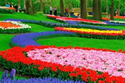 paisaje color floress