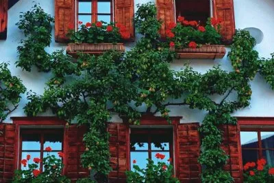 722 jigsaw puzzle
