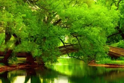 Verde, te quiero verde.