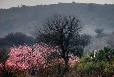 En Santiago del Estero. Argentina