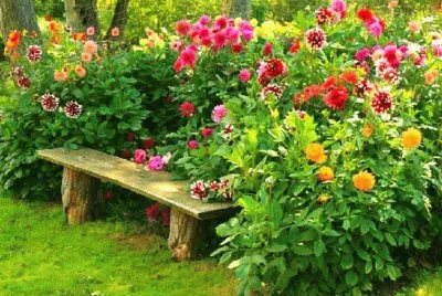 Blumen