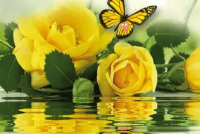 flores