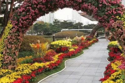 flores