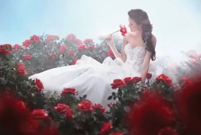 romÃ¡ntica jigsaw puzzle