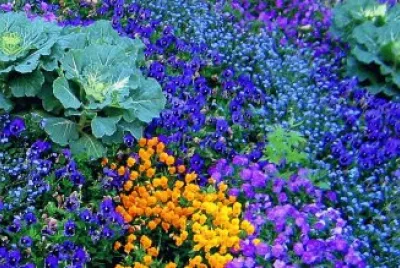 primavera jigsaw puzzle