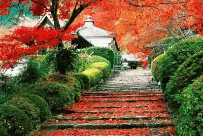 autumn-114