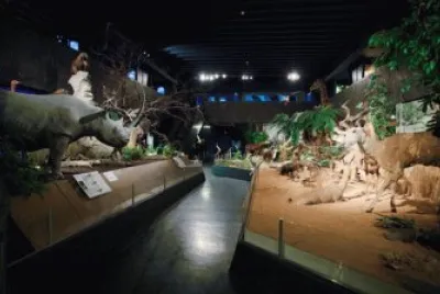 museo scienze naturali