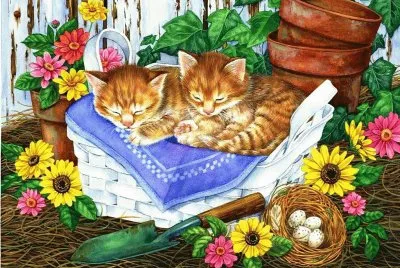   -gtzg56f5d55 jigsaw puzzle