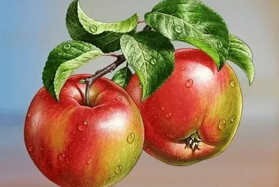 Apple 's