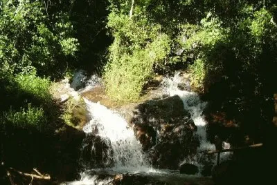 Arroyo Salamanca. Misiones. Argentina