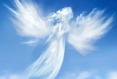 imagens