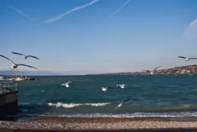 lago lemano jigsaw puzzle