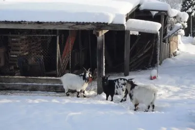 Urdorf jigsaw puzzle