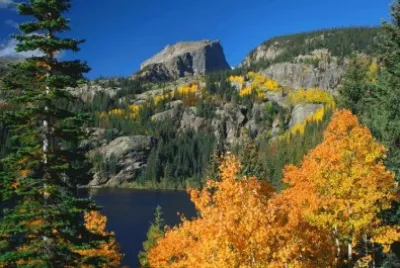 Natureza jigsaw puzzle