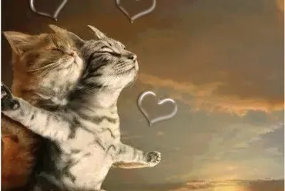 imagens jigsaw puzzle