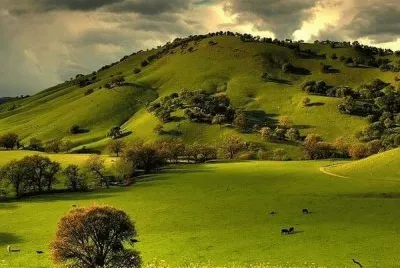 imagens jigsaw puzzle