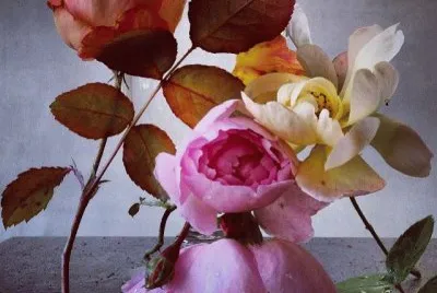 Roses