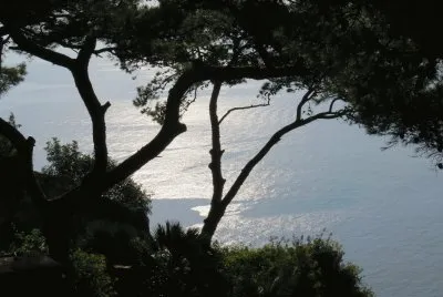 Capri