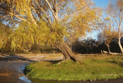 Cerca de Villa Elisa. Buenos Aires. Argentina