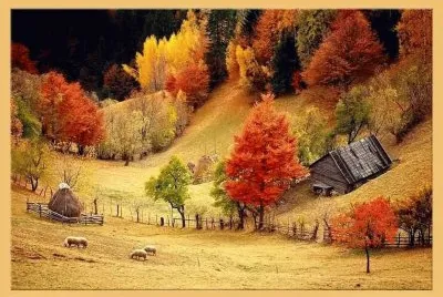 imagens jigsaw puzzle