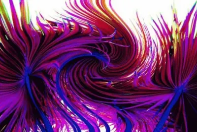 imagens jigsaw puzzle